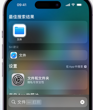 垣曲apple维修中心分享iPhone文件应用中存储和找到下载文件 