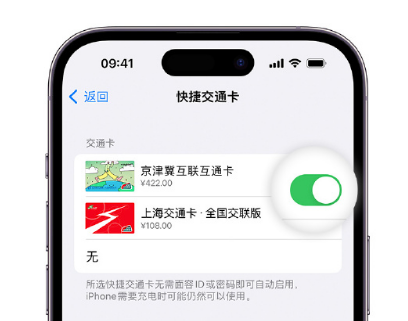 垣曲apple维修点分享iPhone上更换Apple Pay快捷交通卡手绘卡面 