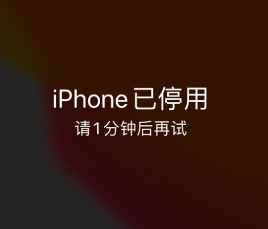 垣曲苹果手机维修分享:iPhone 显示“不可用”或“已停用”怎么办？还能保留数据吗？ 