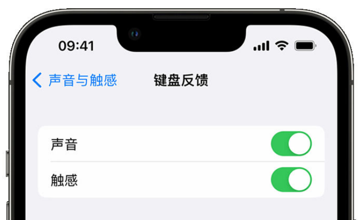 垣曲苹果手机维修分享iPhone 14触感键盘使用方法 