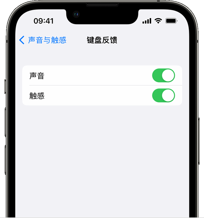 垣曲苹果14维修店分享如何在 iPhone 14 机型中使用触感键盘 