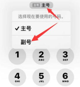 垣曲苹果14维修店分享iPhone 14 Pro Max使用副卡打电话的方法 