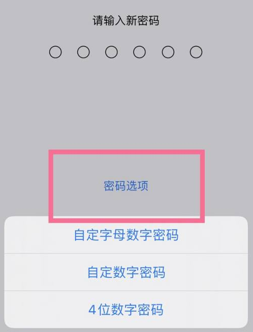 垣曲苹果14维修分享iPhone 14plus设置密码的方法 