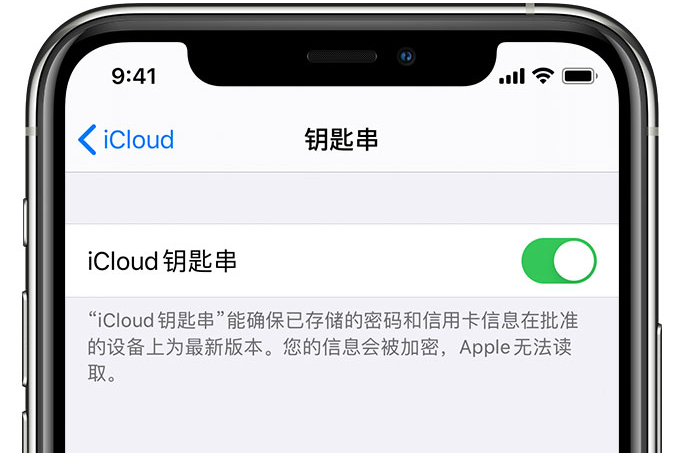 垣曲苹果手机维修分享在 iPhone 上开启 iCloud 钥匙串之后会储存哪些信息 